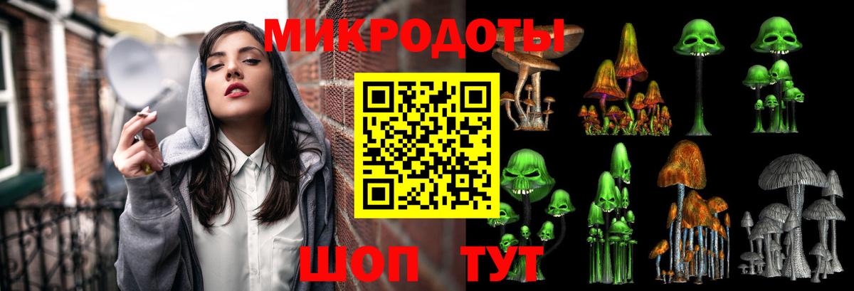 Тавда  Псилоцибиновые грибы Psilocybine cubensis  Вход с VPN 