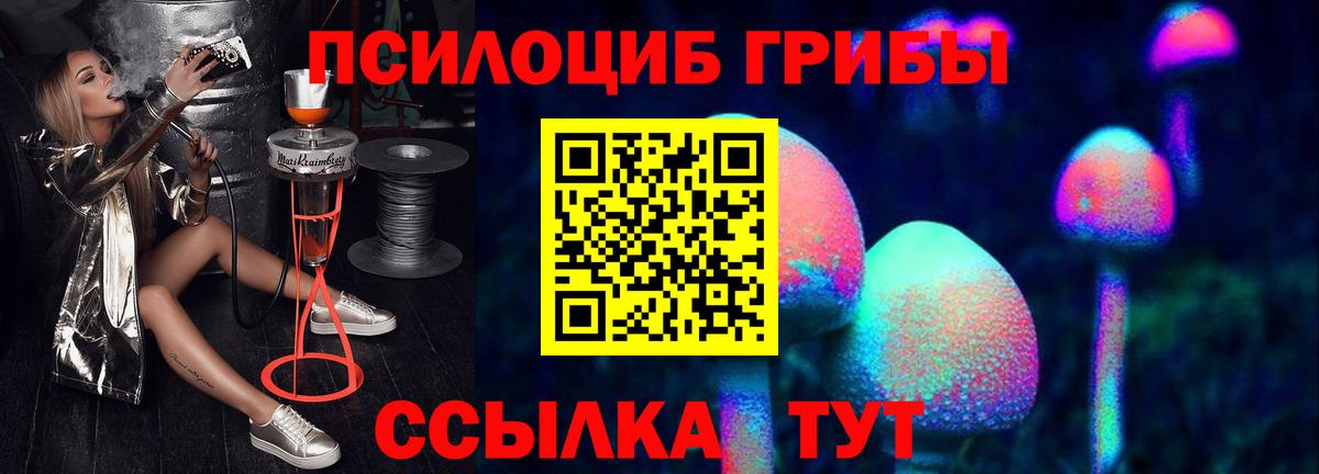 Псилоцибиновые грибы Psilocybine cubensis Тавда